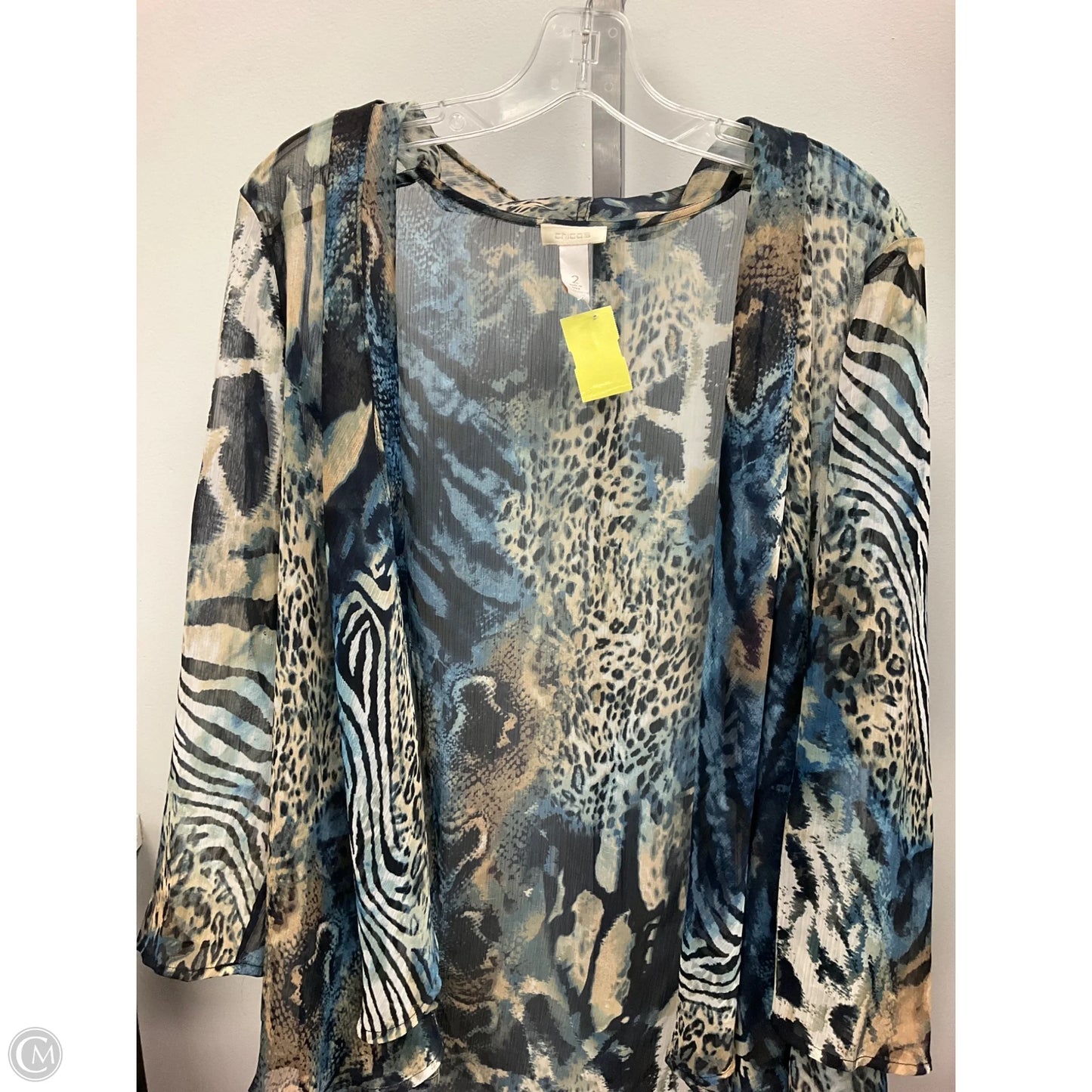 Top Long Sleeve By Chicos In Blue & Cream, Size: L