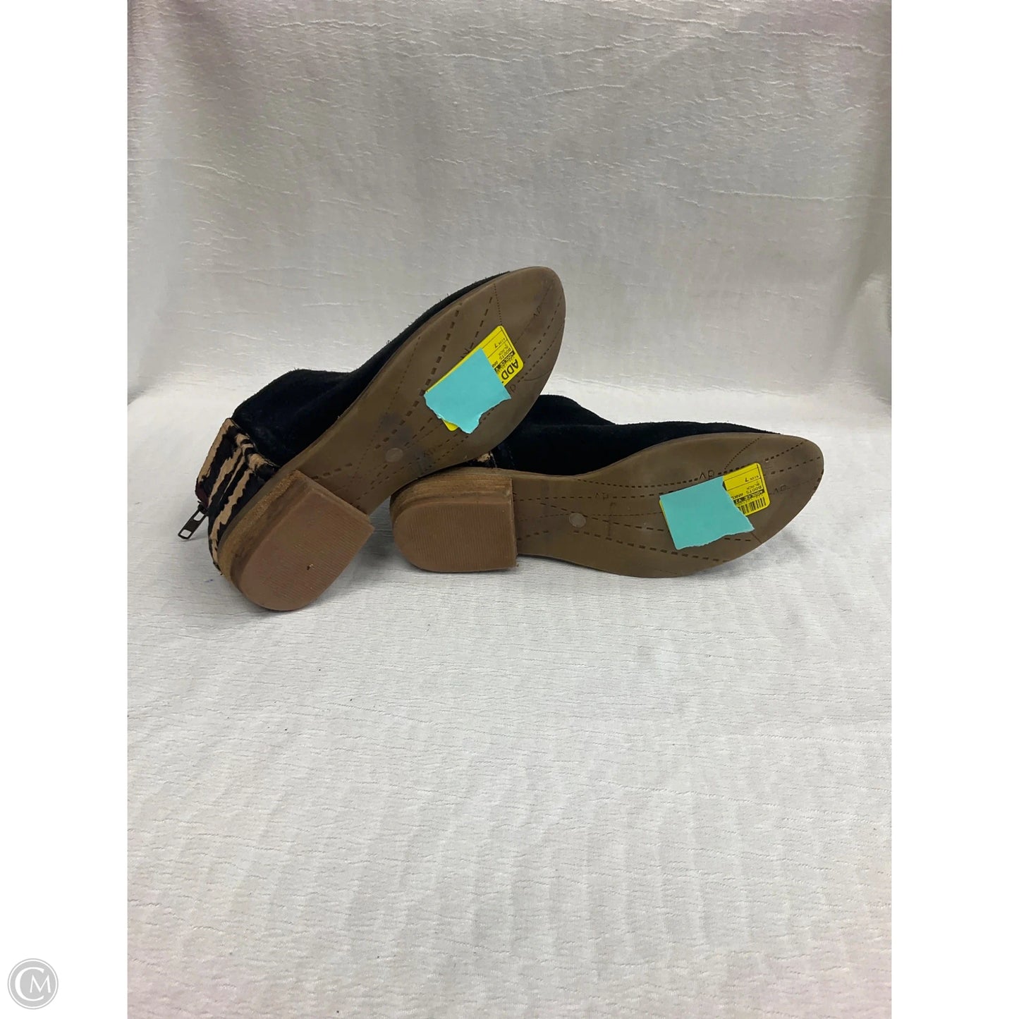 Boots Ankle Heels By Dolce Vita In Black, Size: 7