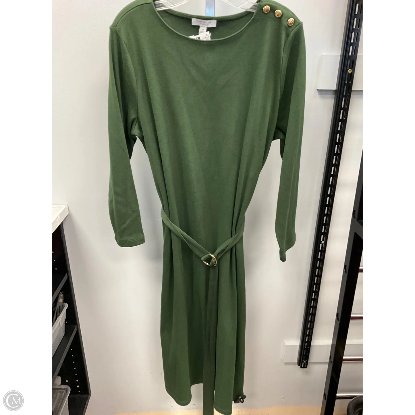 Dress Sweater By Ann Taylor In Green, Size: Xlp