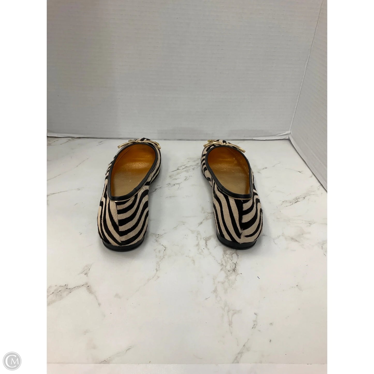 Shoes Designer By Coach In Zebra Print, Size: 7.5