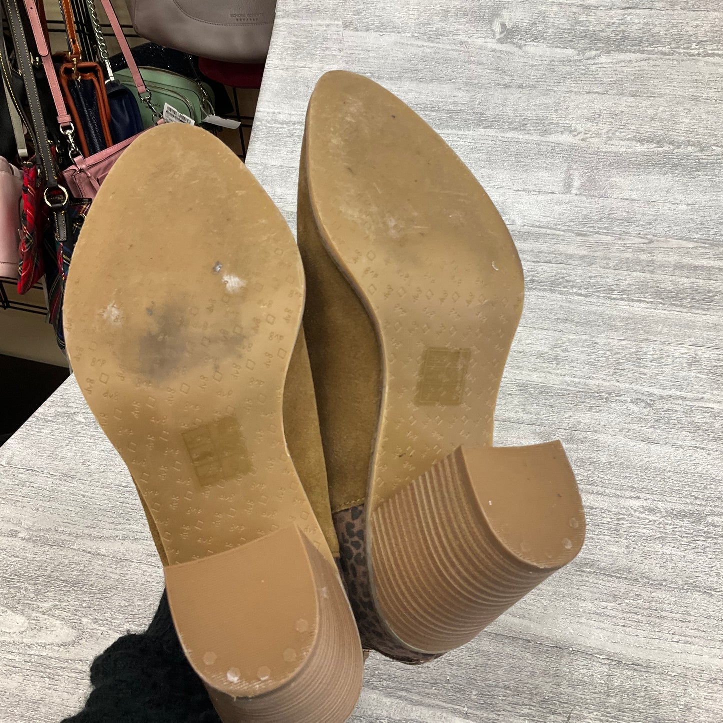 Boots Ankle Heels By Dolce Vita In Brown, Size: 10