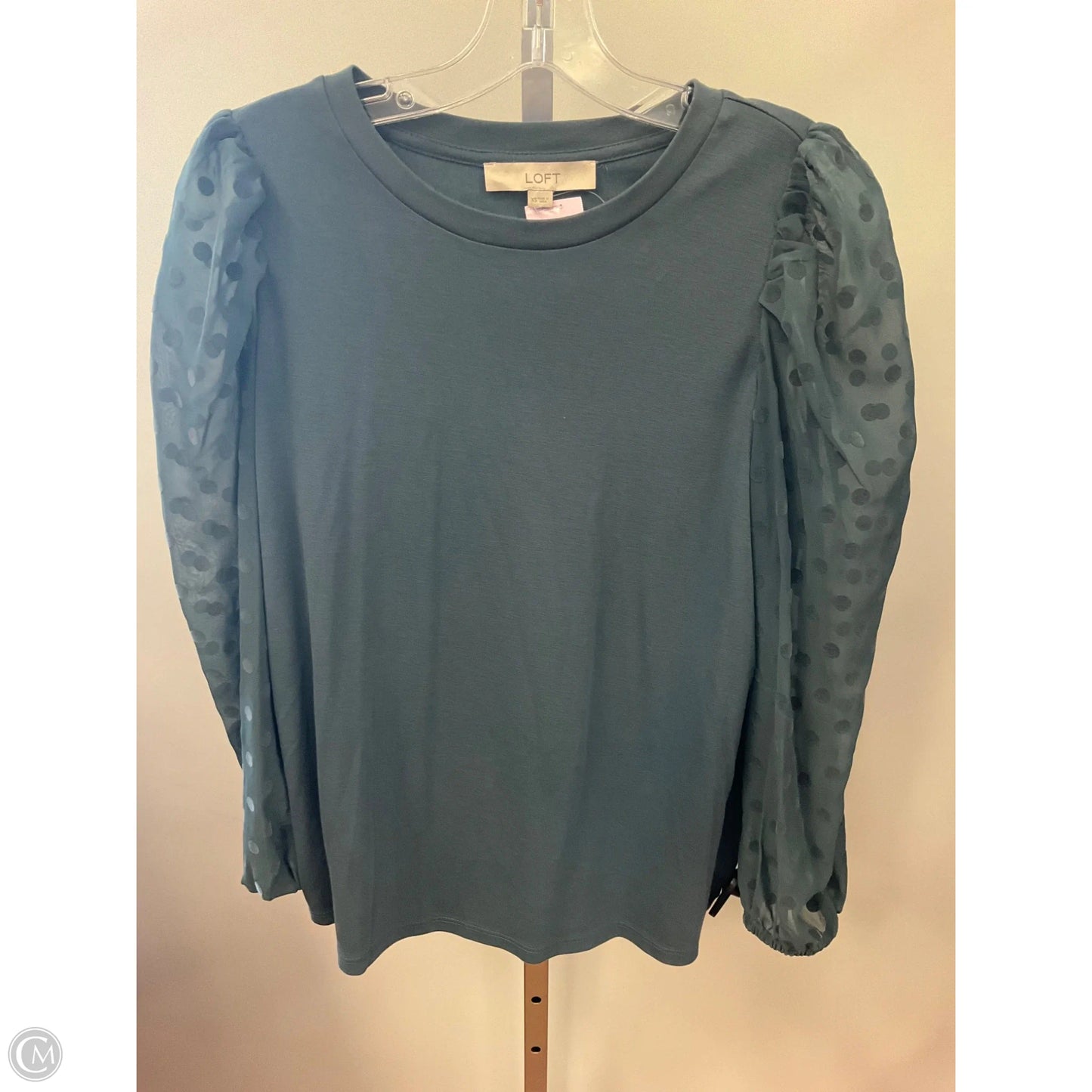 Top Long Sleeve By Loft In Teal, Size: Xs
