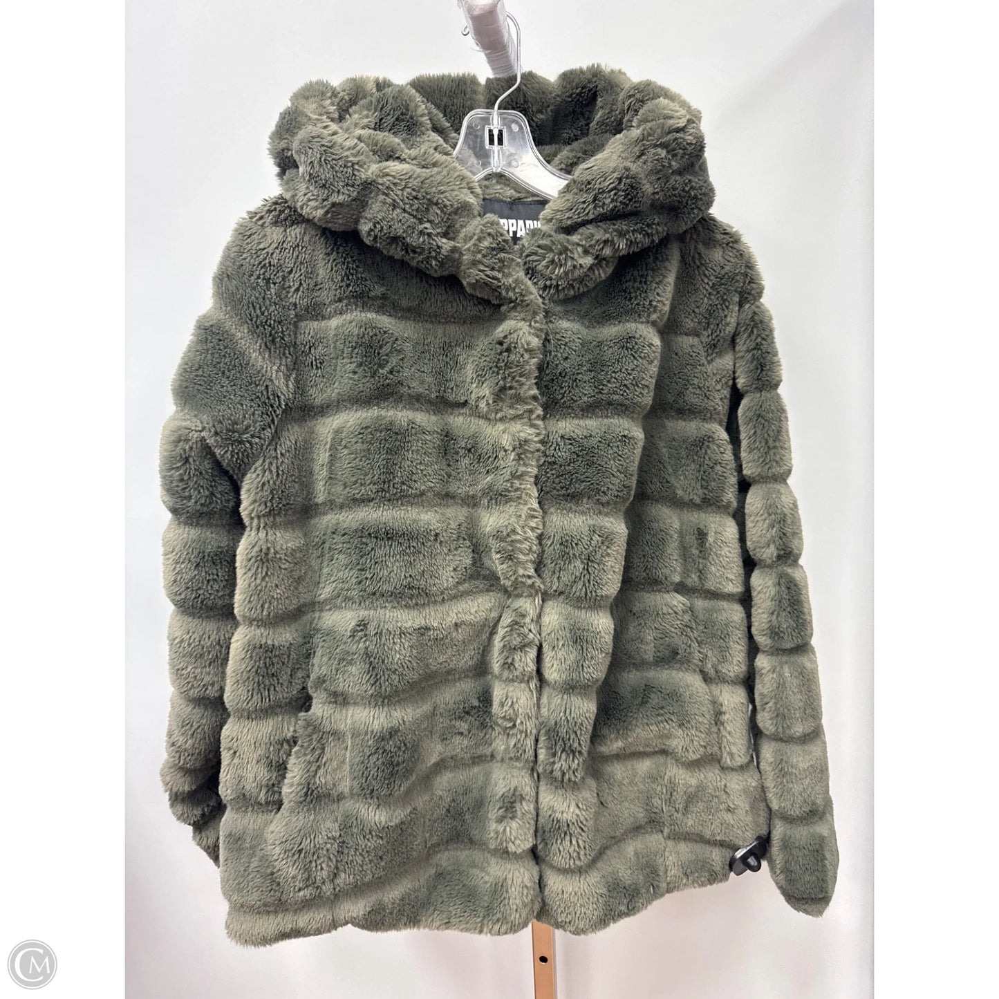 Coat Faux Fur & Sherpa By Clothes Mentor In Green, Size: M