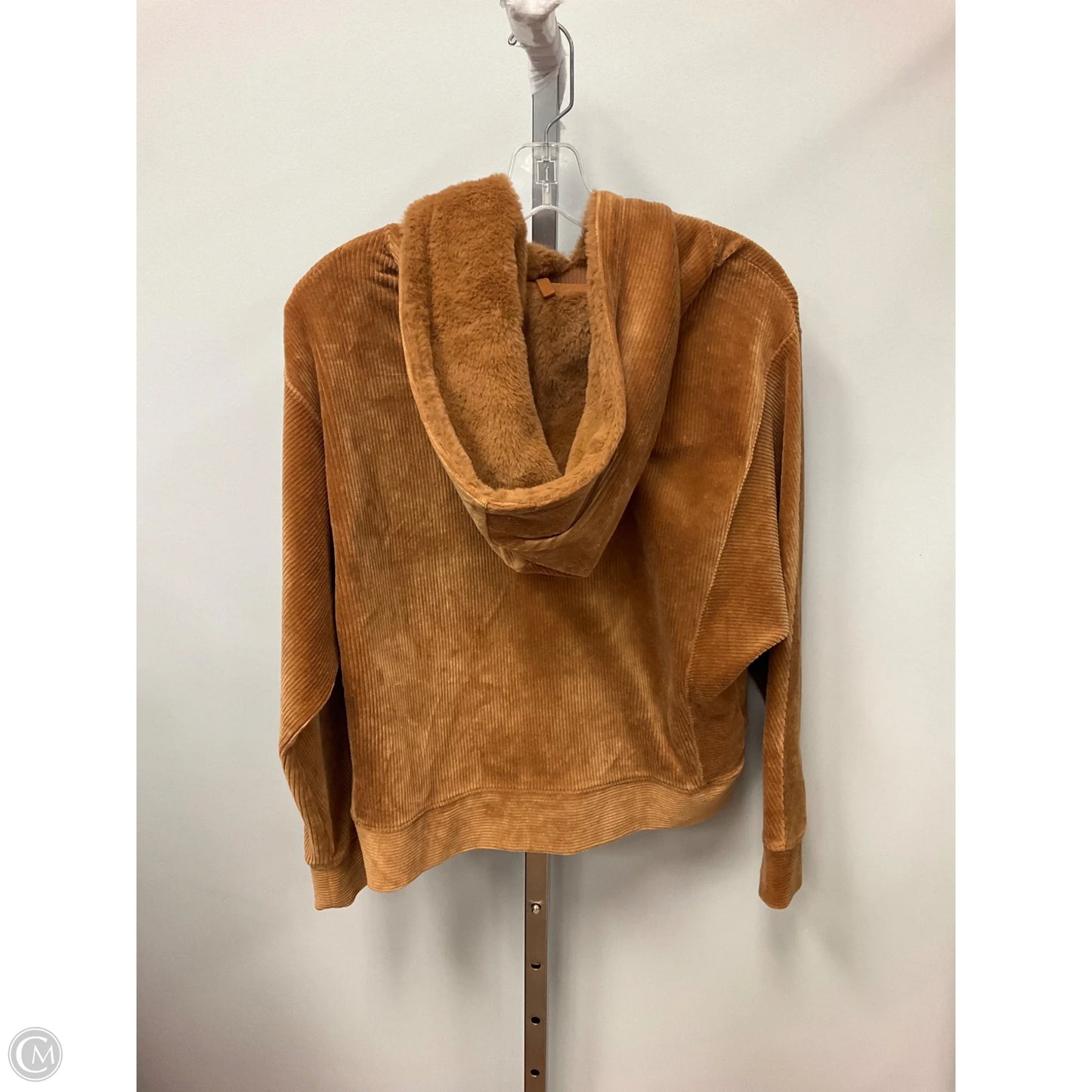 Sweater By Lou And Grey In Tan, Size: Xxs