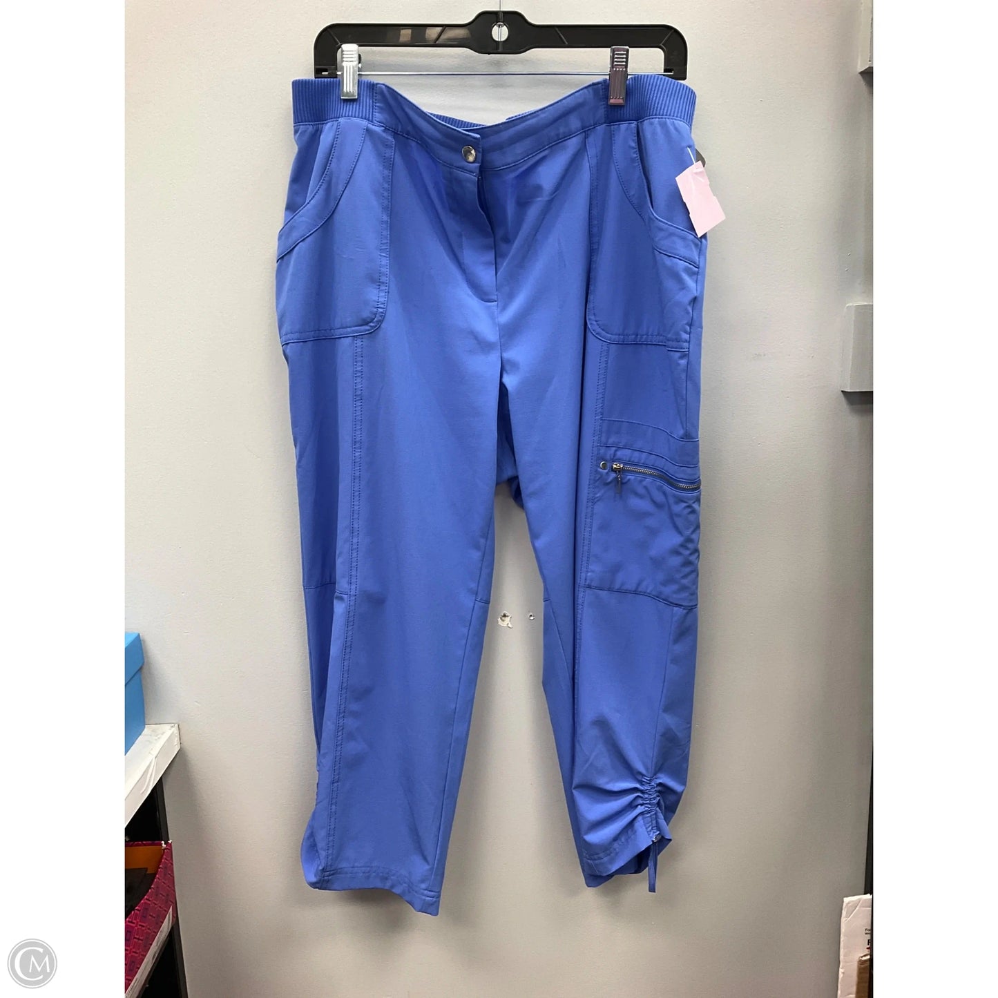 Pants Cropped By Chicos In Blue, Size: L