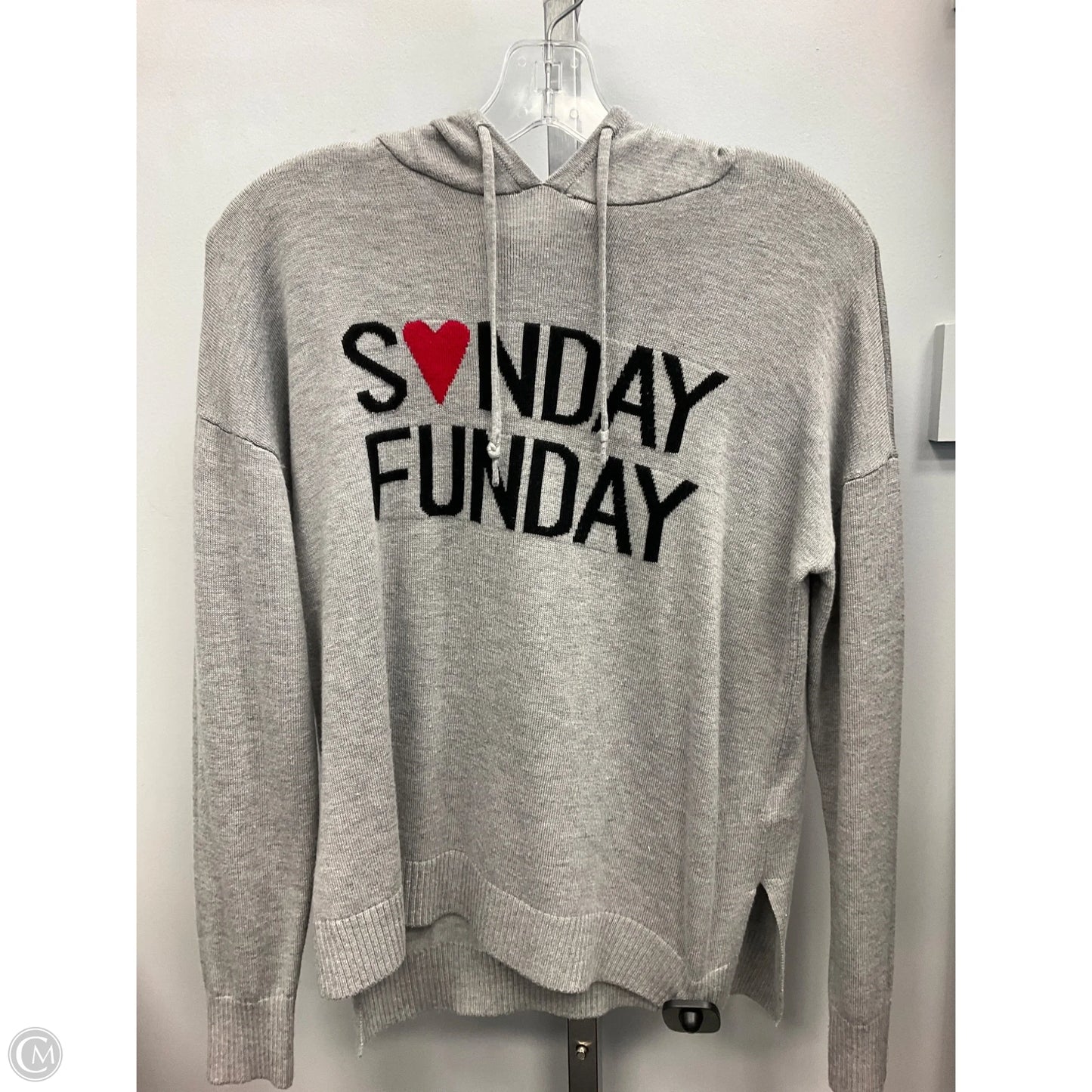 Sweatshirt Hoodie By Rachel Zoe In Grey, Size: S