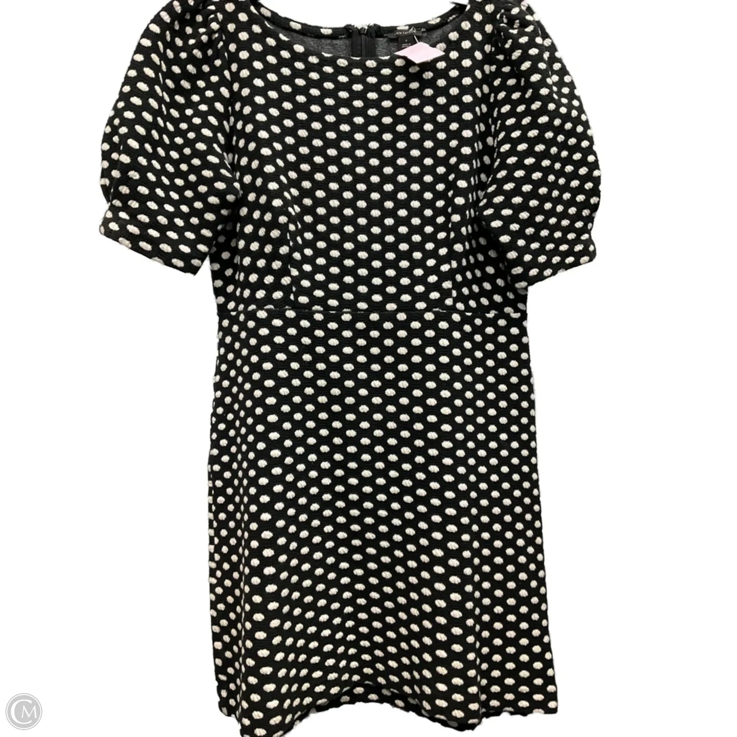 Dress Casual Short By Ann Taylor In Polkadot Pattern, Size: 4