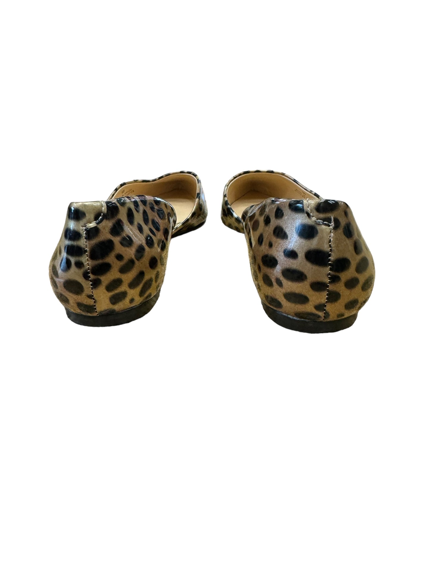 Animal Print Shoes Flats Talbots, Size 6