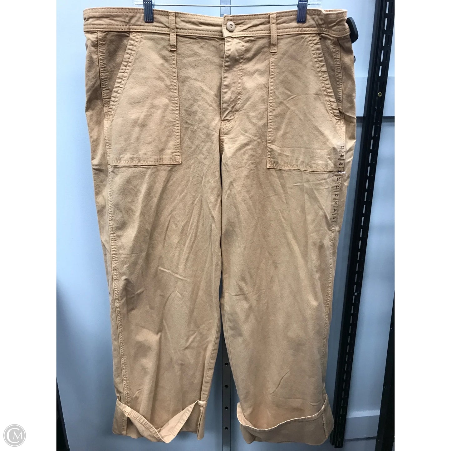 Pants Cargo & Utility By American Eagle In Tan, Size: 20