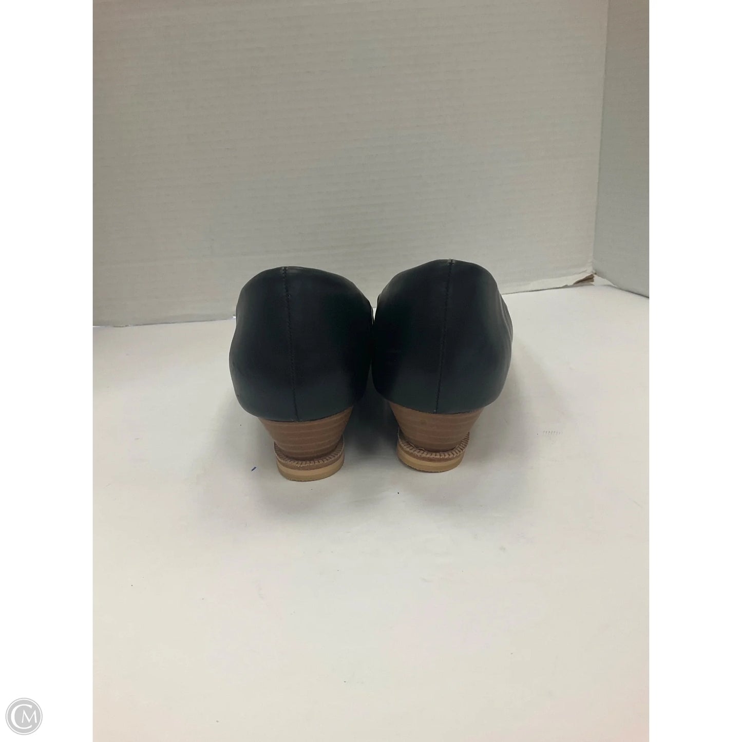 Shoes Heels Wedge By Clothes Mentor In Black, Size: 10