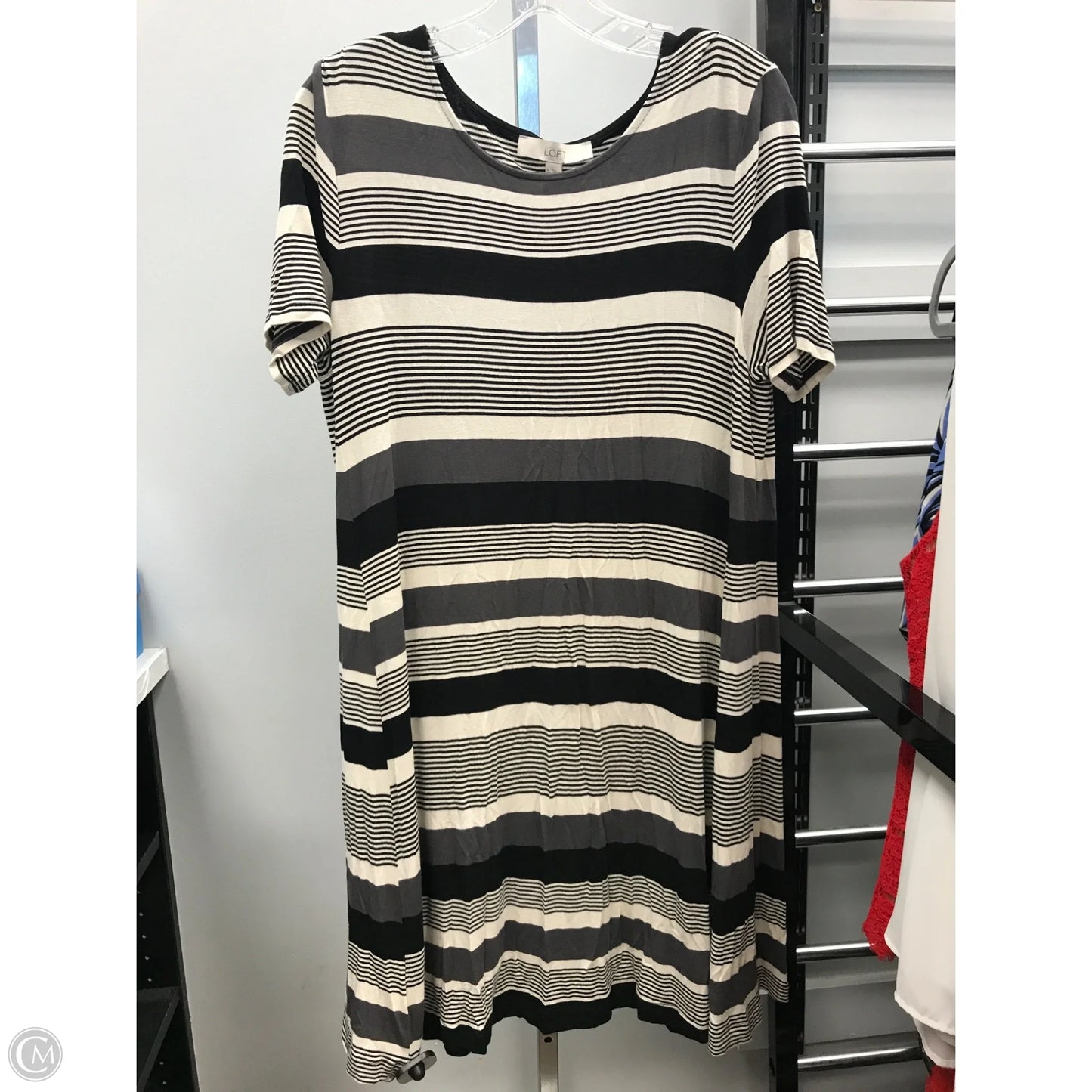 Dress Casual Short By Loft In Striped Pattern, Size: M