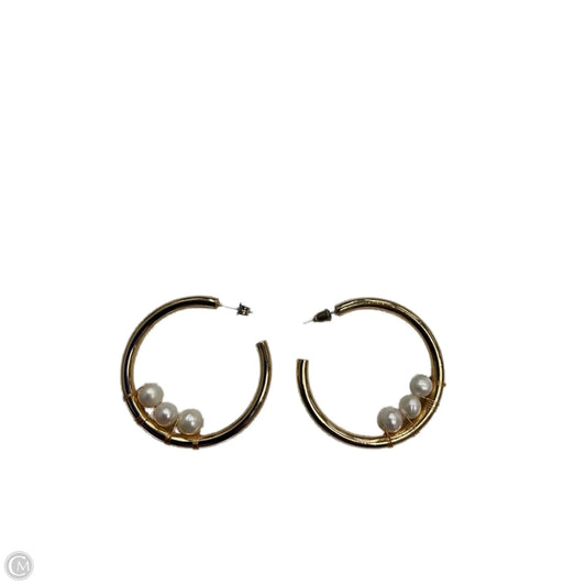 Earrings Hoop By Clothes Mentor