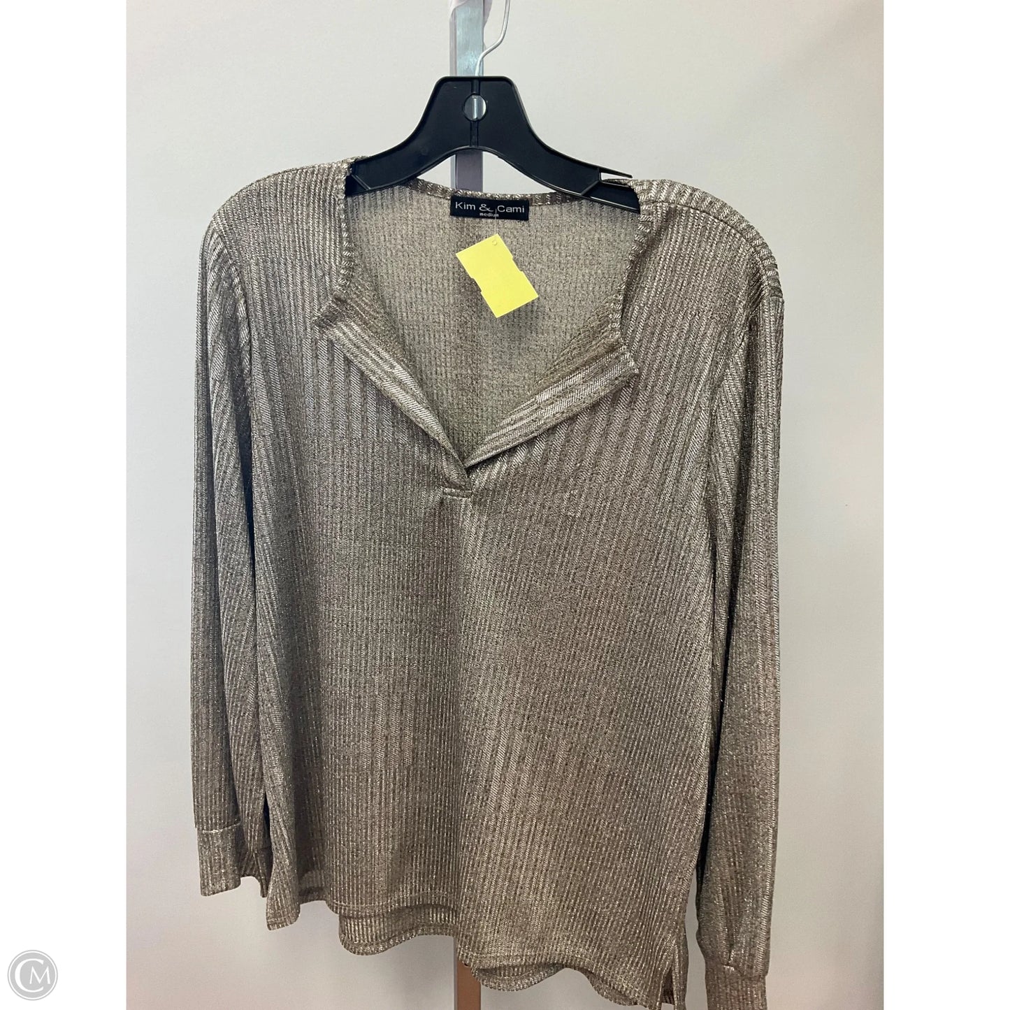 Top Long Sleeve By Kim & Cami In Silver, Size: M