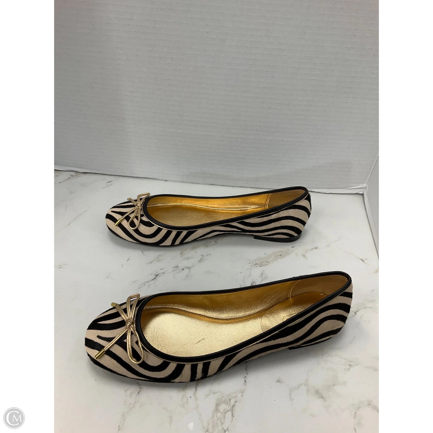 Shoes Designer By Coach In Zebra Print, Size: 7.5