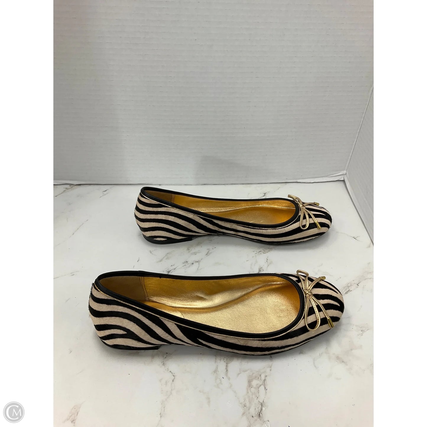 Shoes Designer By Coach In Zebra Print, Size: 7.5