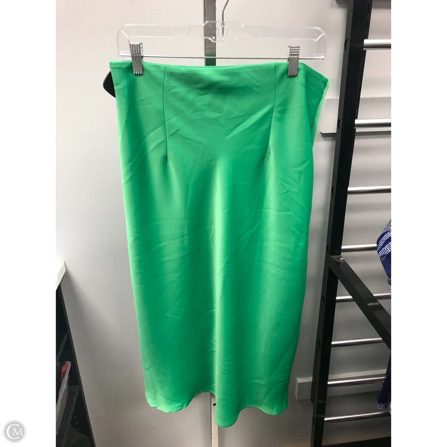 Skirt Midi By Rachel Zoe In Green, Size: 10