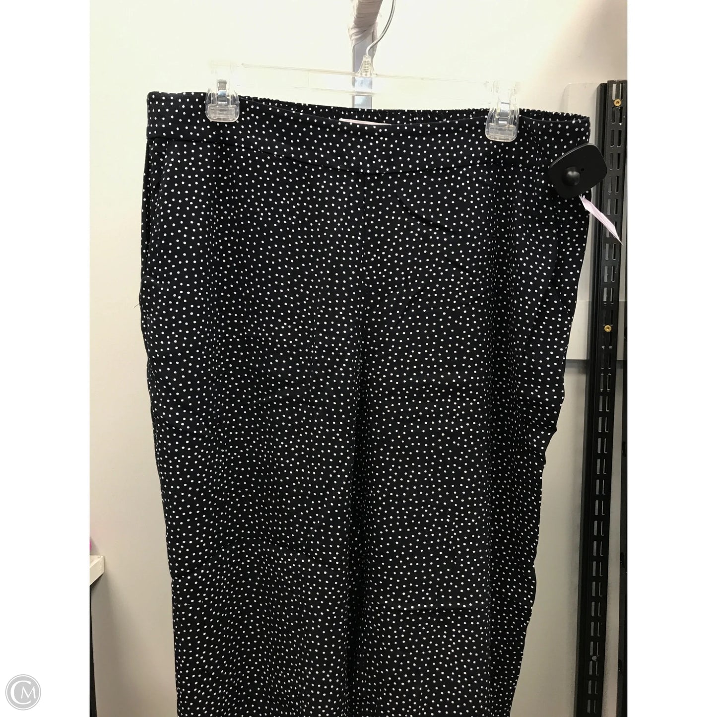 Pants Other By Loft In Polkadot Pattern, Size: L