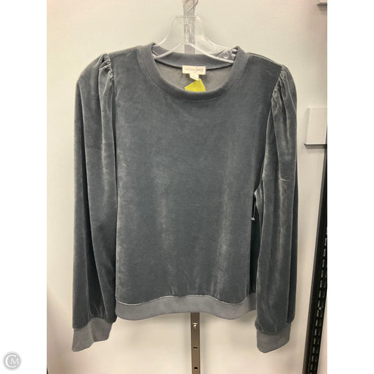 Top Long Sleeve By Maison Jules In Grey, Size: M