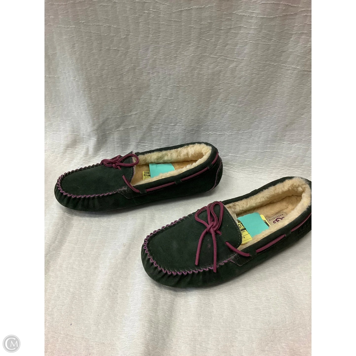 Slippers Designer By Ugg In Green, Size: 9