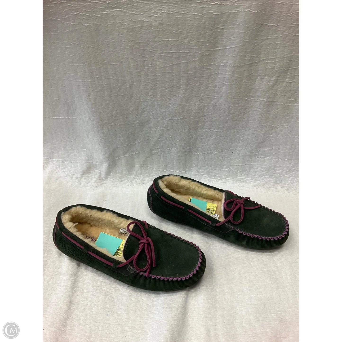 Slippers Designer By Ugg In Green, Size: 9