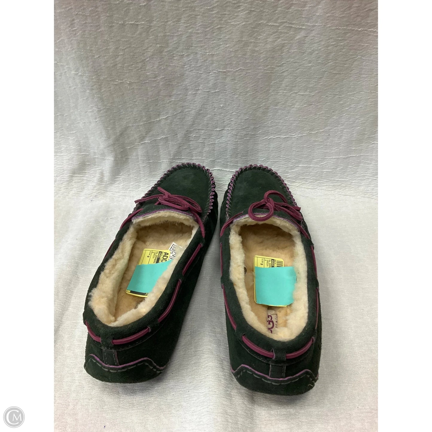 Slippers Designer By Ugg In Green, Size: 9