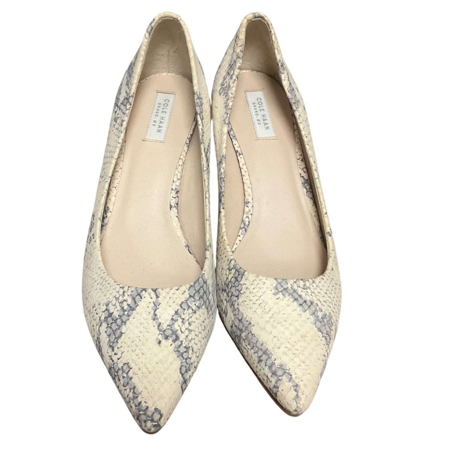 Shoes Heels Kitten By Cole-haan In Snakeskin Print, Size: 6