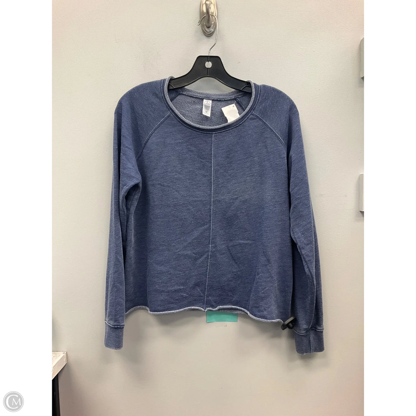 Top Long Sleeve By Alternative In Blue, Size: M