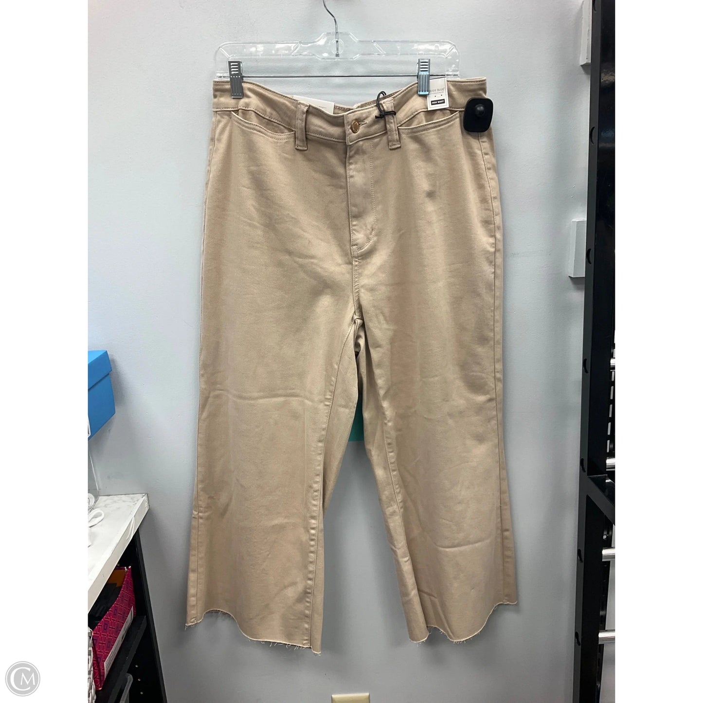 Pants Wide Leg By Judy Blue In Tan, Size: 16