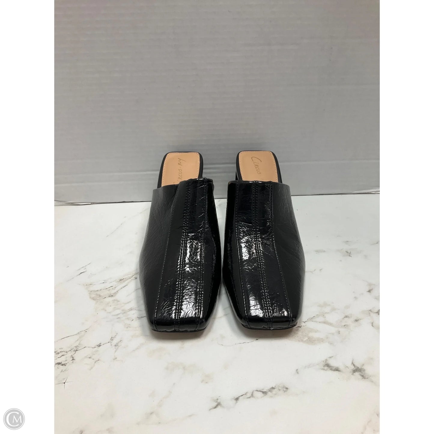 Shoes Heels Block By Circus By Sam Edelman In Black, Size: 6.5