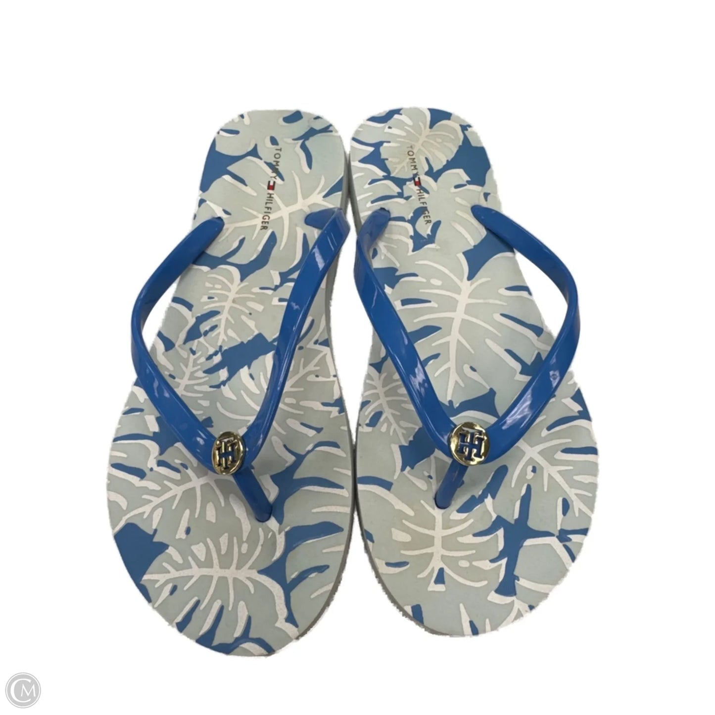 Sandals Flip Flops By Tommy Hilfiger In Blue, Size: 9.5