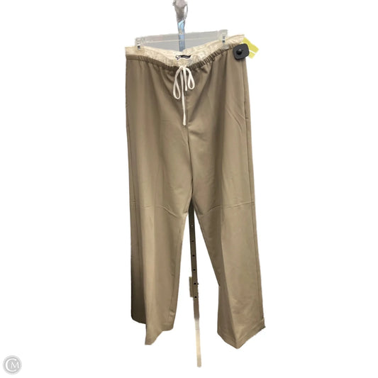 Pants Other By Zara In Taupe, Size: M