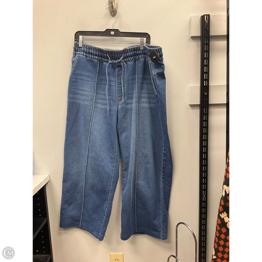 Jeans Wide Leg By Curve Appeal In Blue Denim, Size: Xl