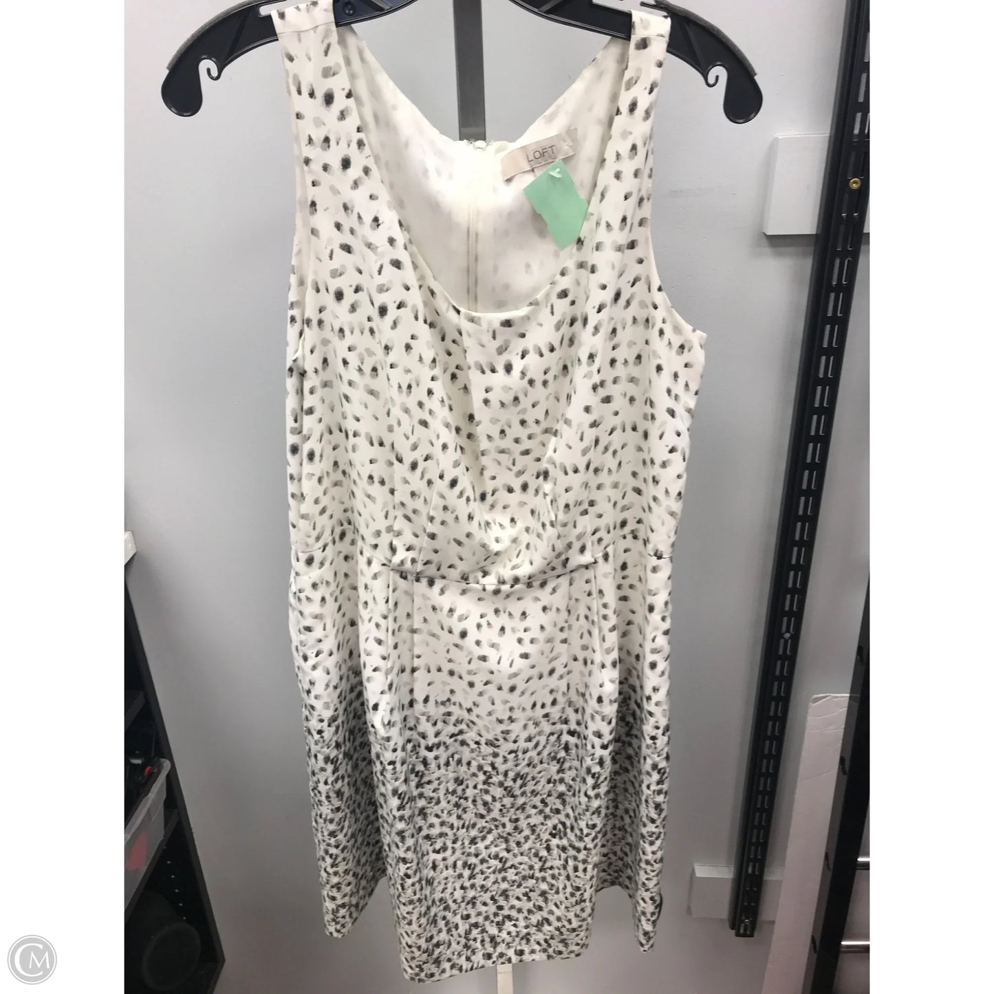 Dress Casual Short By Loft In Black & Cream, Size: 12