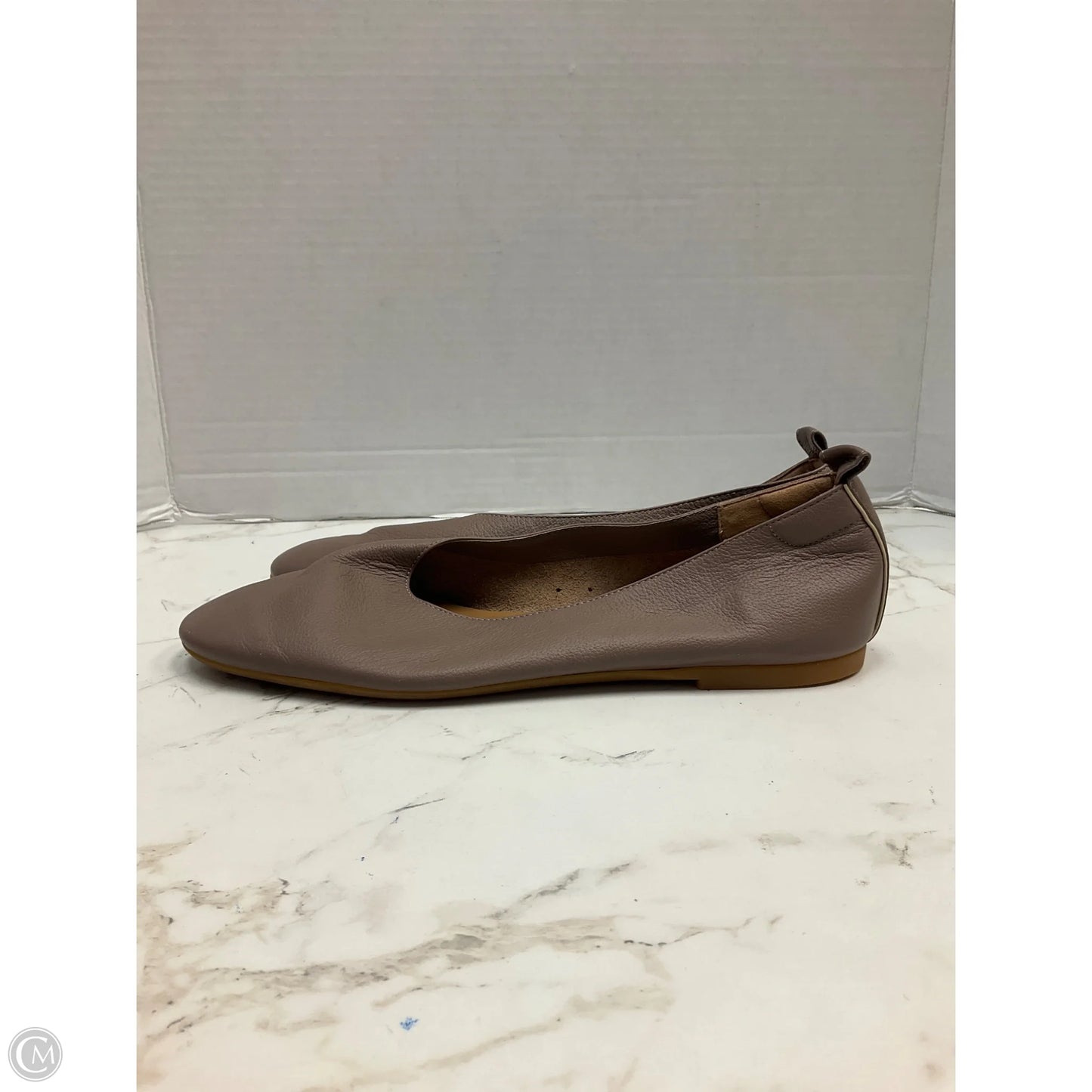Shoes Flats By Everlane In Brown, Size: 9