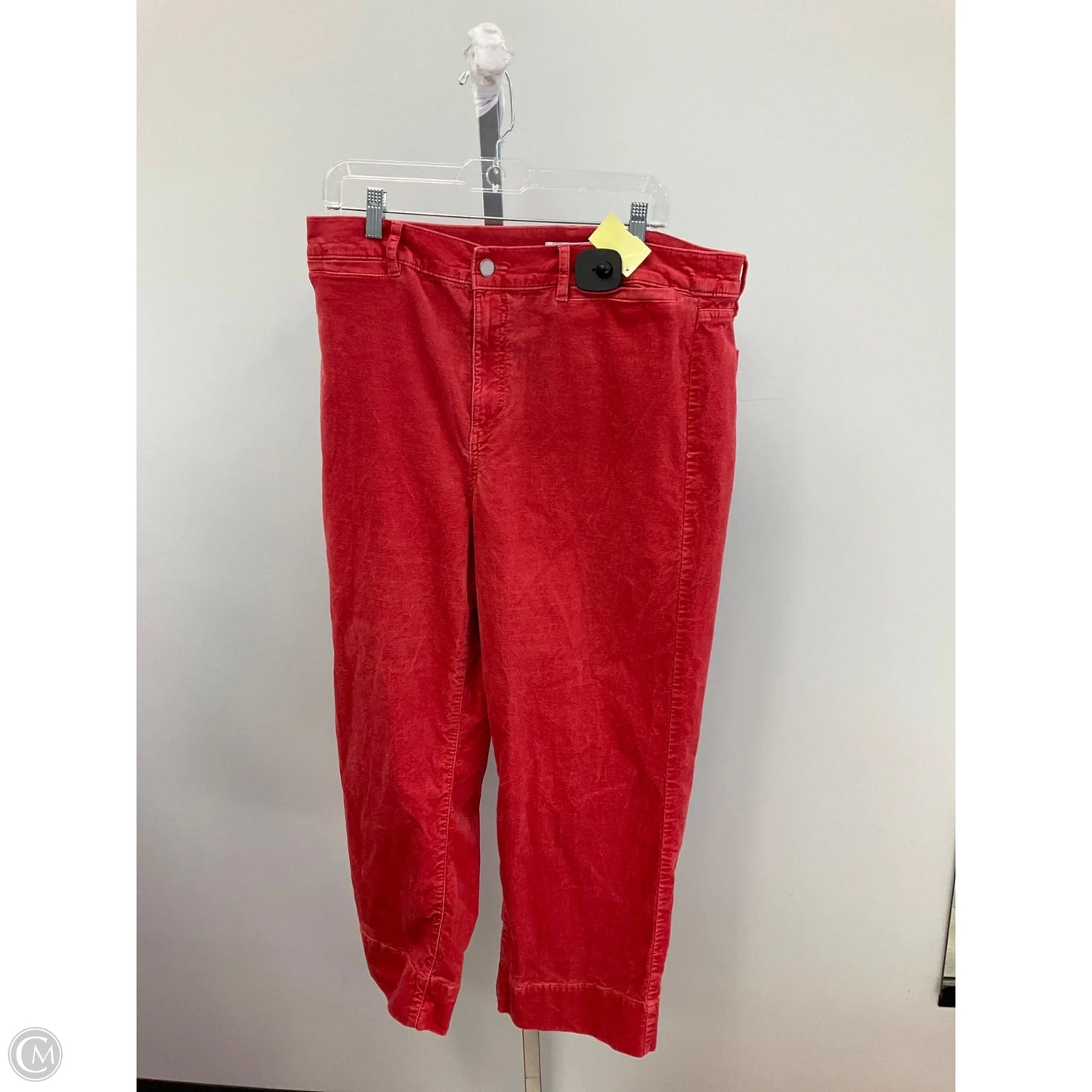 Pants Other By Loft In Orange, Size: 16