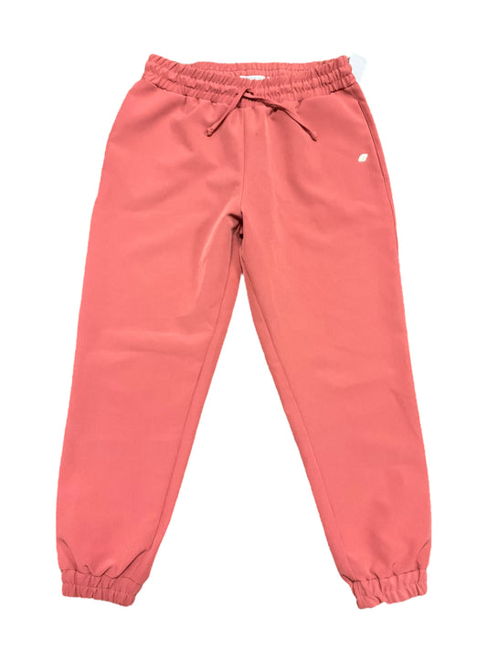 Pants Joggers By Clothes Mentor  Size: L